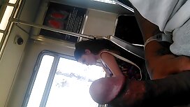 ラテン語ってどんな感じ？ 女の子 の 為 ...