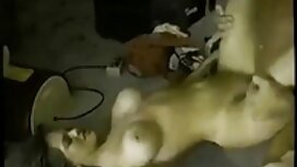 この二人の子供たちはお互いをパンチ 外国 ...